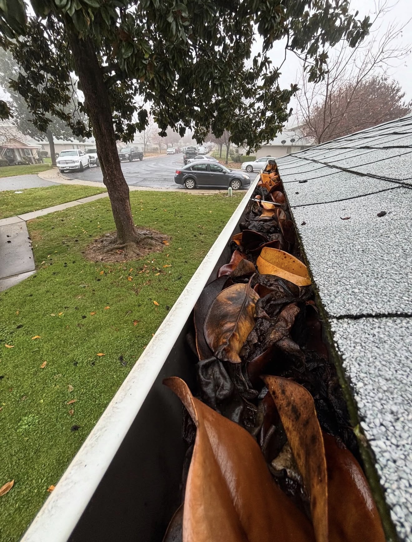 Gutter clean-out before
