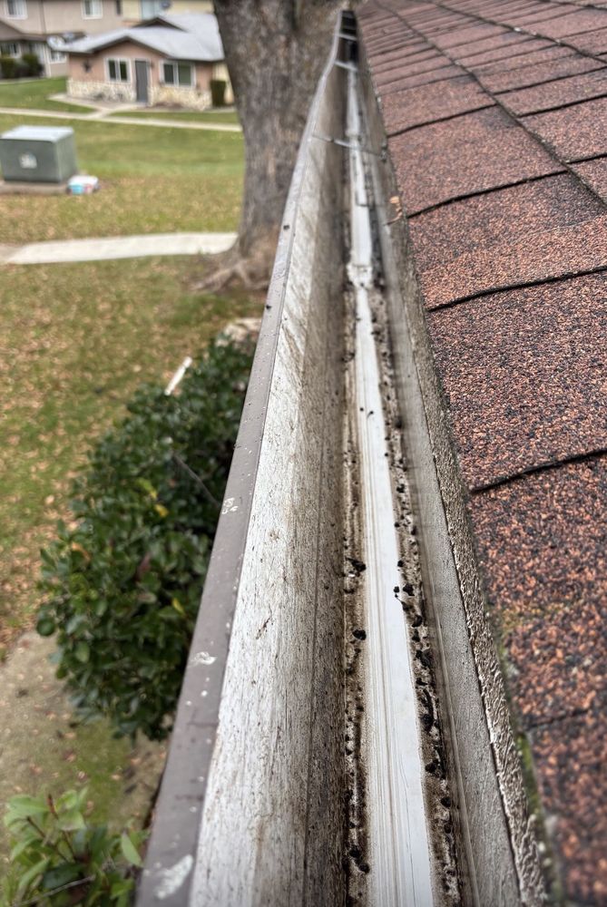 Debris-filled gutter along a shingle roofline