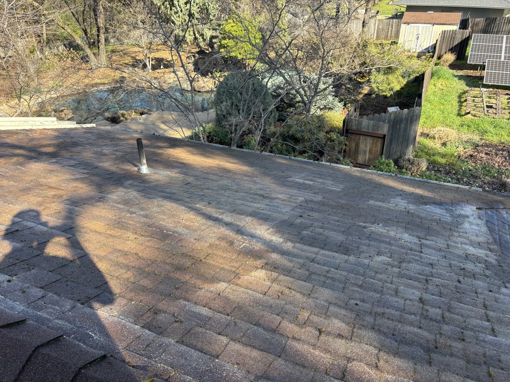 Shingle roof soft-wash on a wooded property
