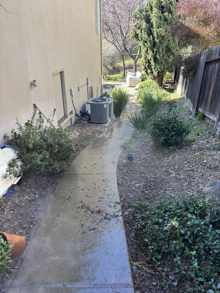 Side walkway before pressure washing