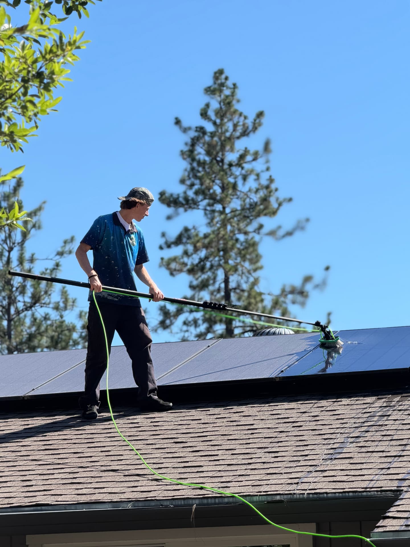 Solar Panel Cleaning