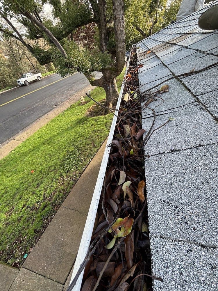 Gutter full of leaves before cleaning