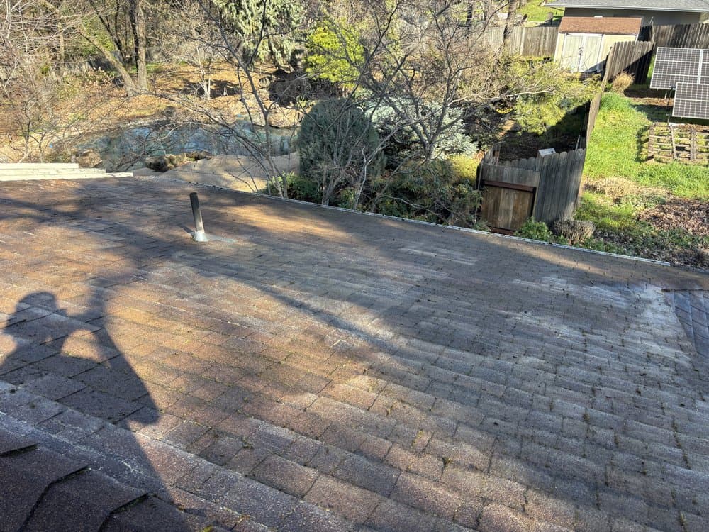Roof Cleaning